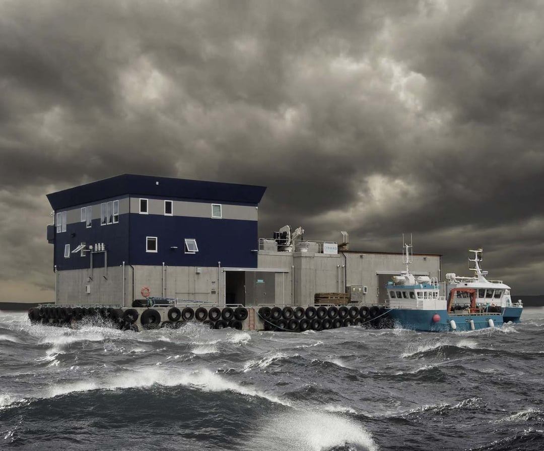 Marine Construction | It's all in the details